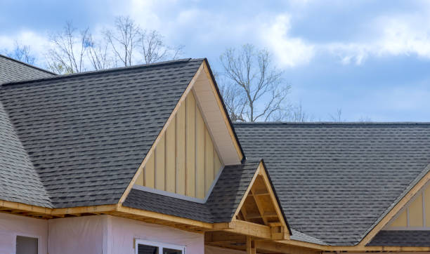 Best Roof Leak Repair  in Lexington, NC