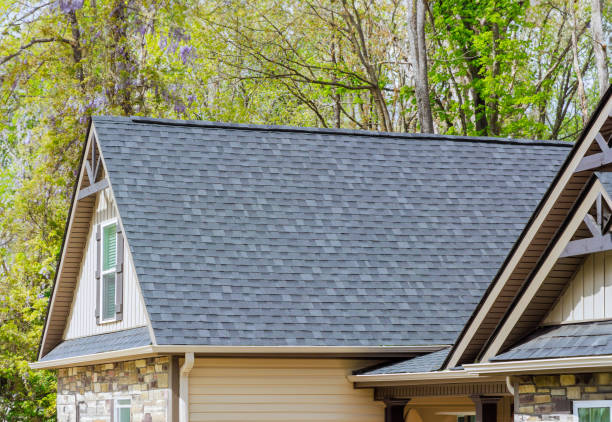 Best Solar Panel Roofing Installation  in Lexington, NC
